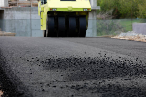 Best Residential Paver Driveway  in Biscoe, NC